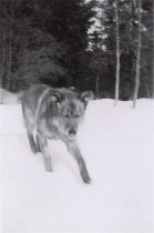 RC 2015.0.2.1 Bishop Interview Image Number 74